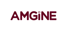 Amgine logo